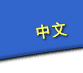 中文