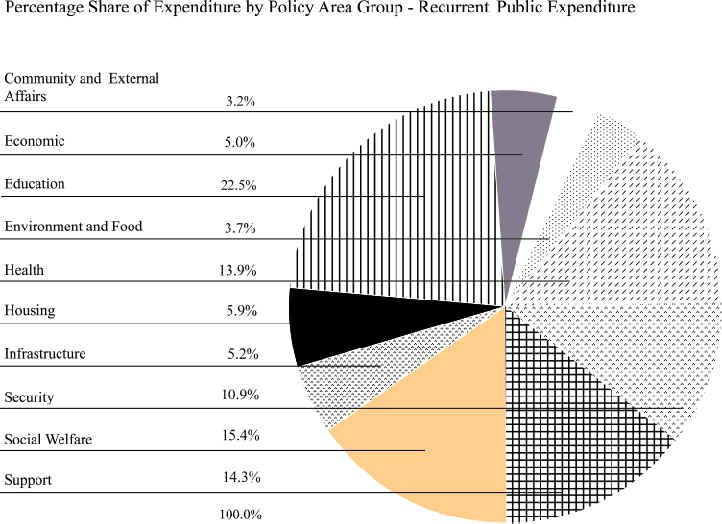 Percentage Share of Expenditure by Policy Area Group - Recurrent Public Expenditure