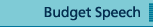 Budget Speech