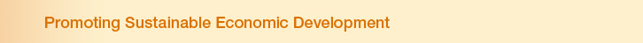 Promoting Sustainable Economic Development