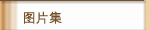 图片集