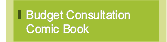 Budget Consultation Comic Book