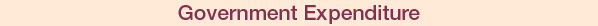 Government Expenditure