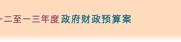 财政司司长—邀请你发表意见