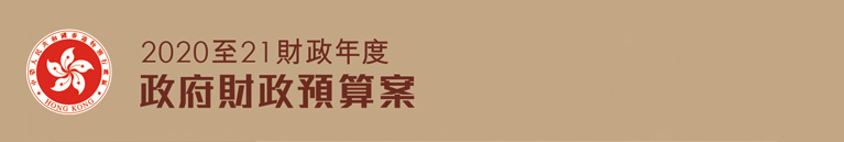 2020-21年度財政預算案諮詢