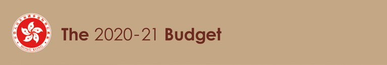 The 2020-21 Budget