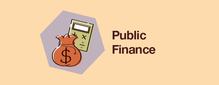 Public Finance