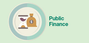 Public Finance