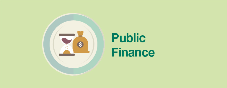 Public Finance