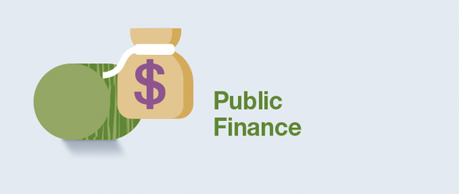 Public Finance