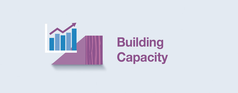 Building Capacity