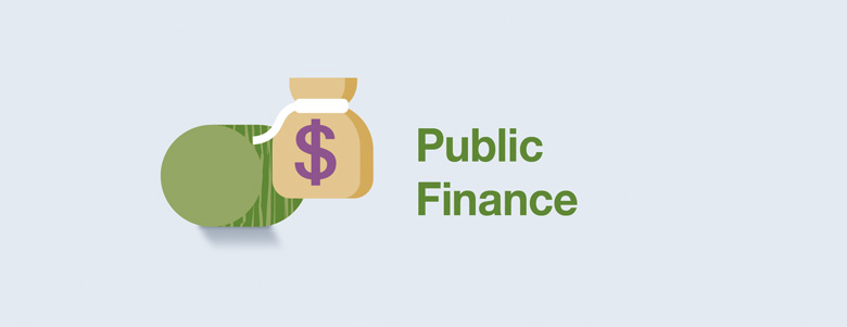 Public Finance