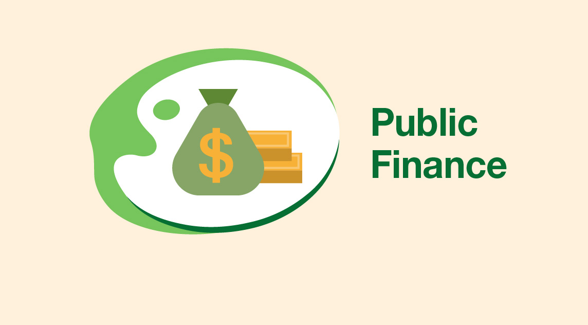 Public Finance