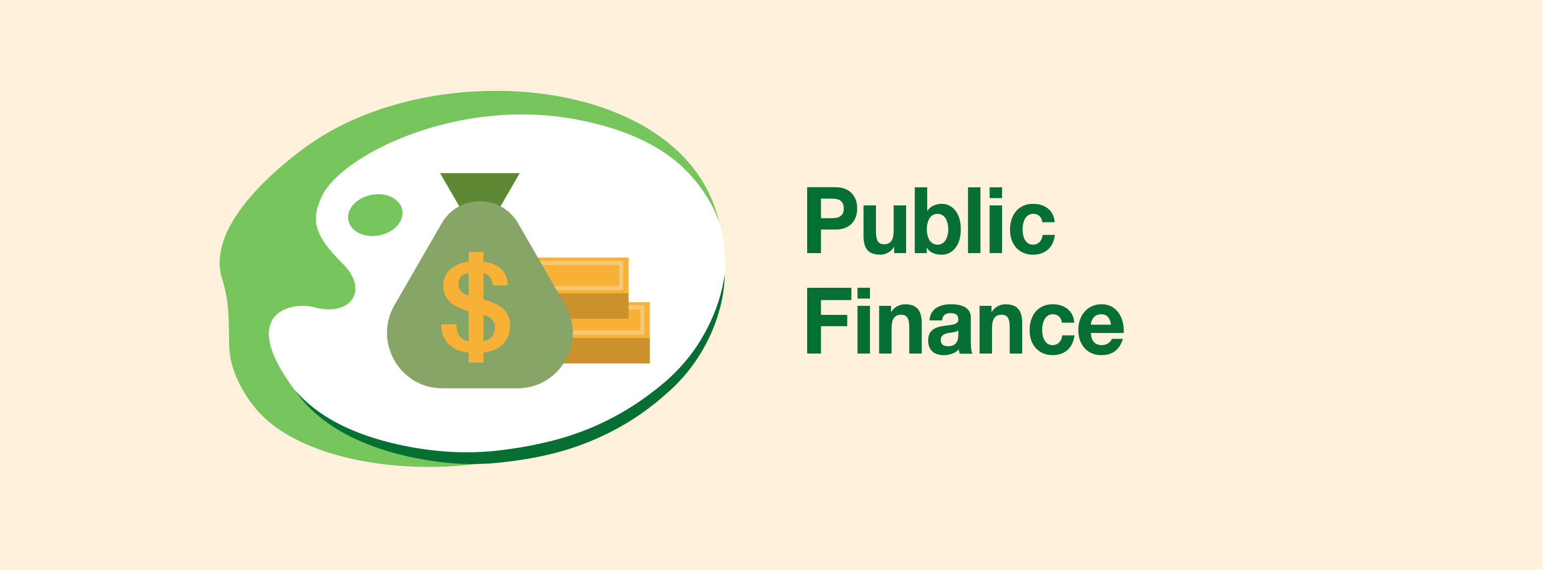 Public Finance