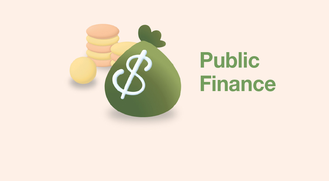 Public Finance