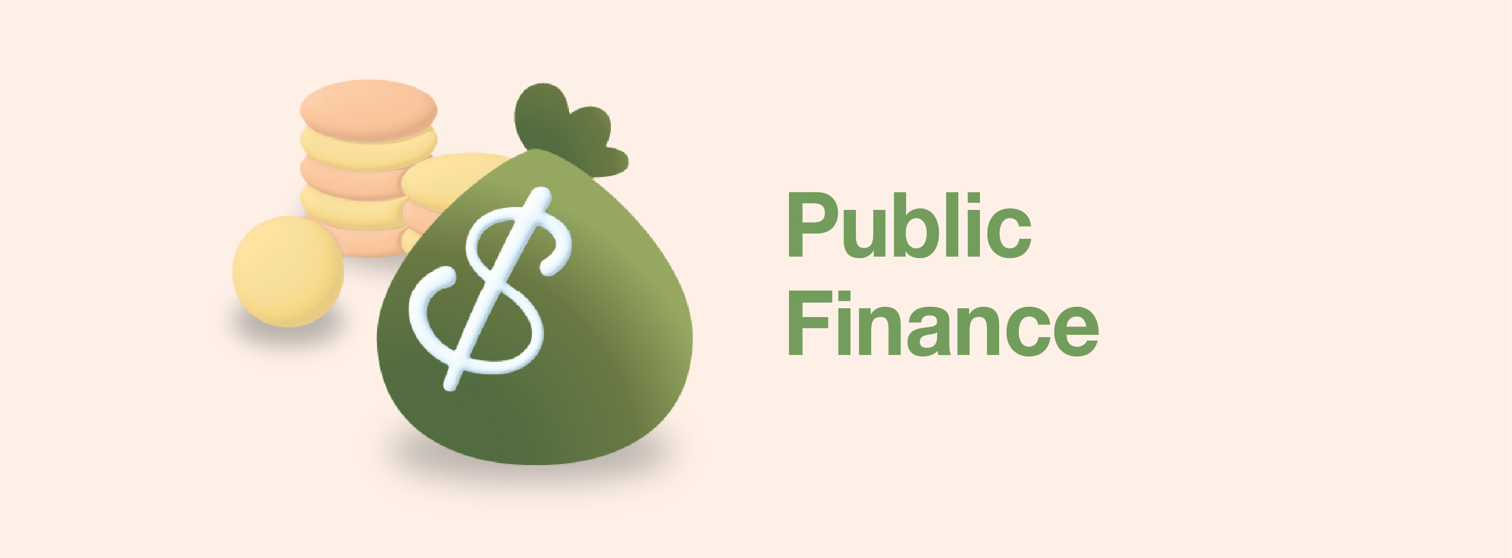 Public Finance