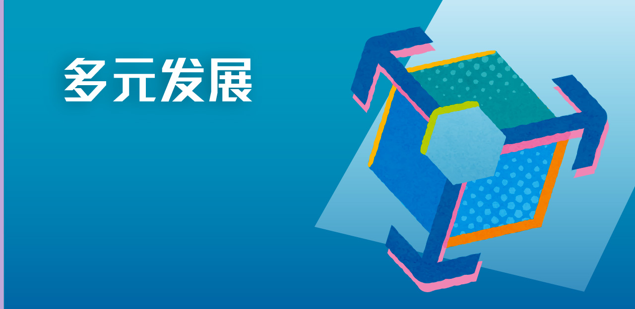 多元发展