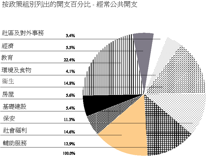 按政策組別列出的開支百分比 - 經常公共開支